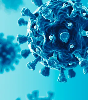 a model of a virus